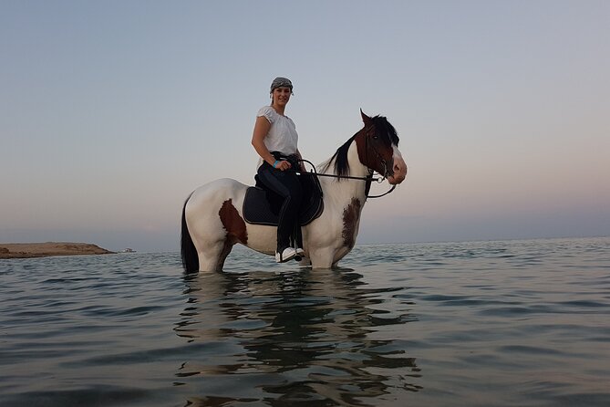 Horse Riding 2 Hours & Relaxation Turkish Bath & Sauna - Hurghada - Key points at a glance