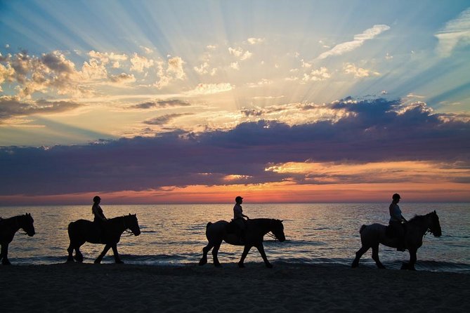 Horse Riding By The Beach With Hammam And Massage - Riding at sunset, with room for different skill levels