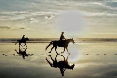 Horse Riding By The Beach With Hammam And Massage