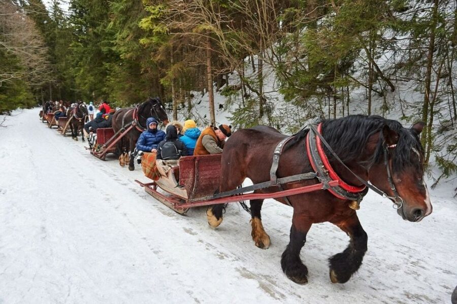 Horse Sleigh 2-3h Ride with Hot Springs or Zakopane Combos - Why this Zakopane day works so well