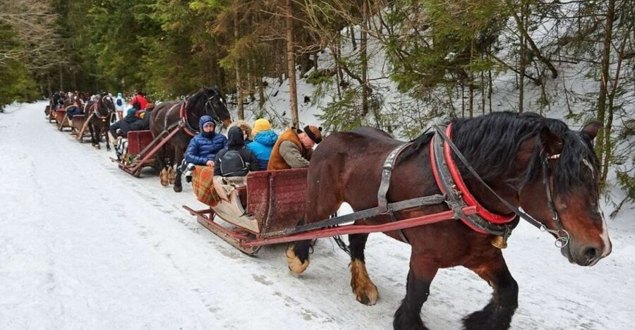 Horse Sleigh 2-3h Ride with Hot Springs or Zakopane Combos - Krupowki gives you Zakopane’s busy center