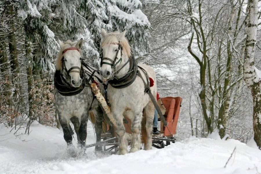 Horse Sleigh 2-3h Ride with Hot Springs or Zakopane Combos - Who gets the best value from this experience