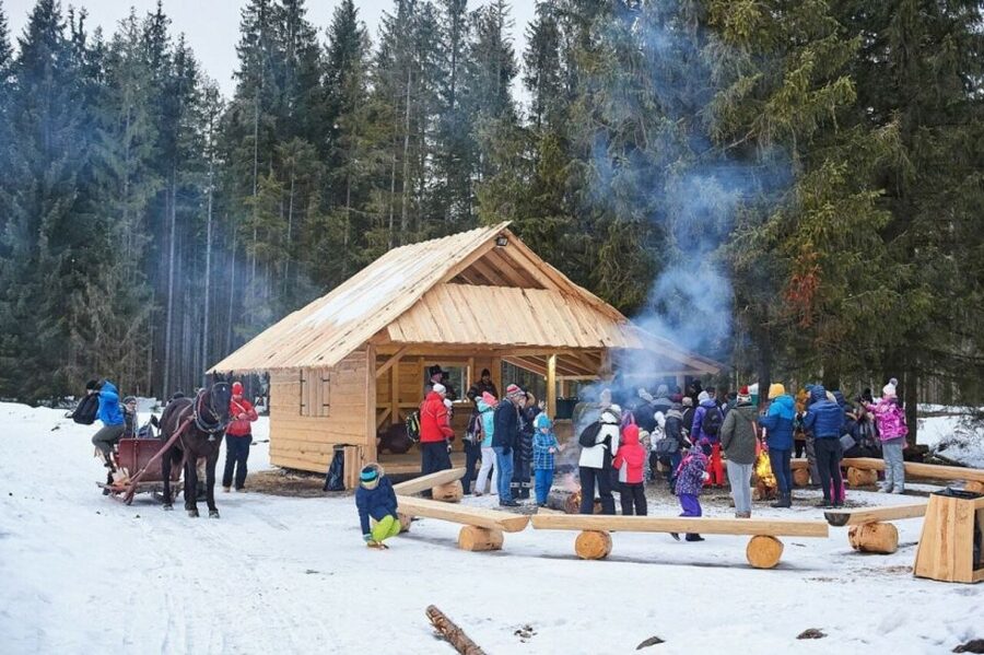 Horse Sleigh 2-3h Ride with Hot Springs or Zakopane Combos - Chocholow, wooden chapels, and the Podhale foothills