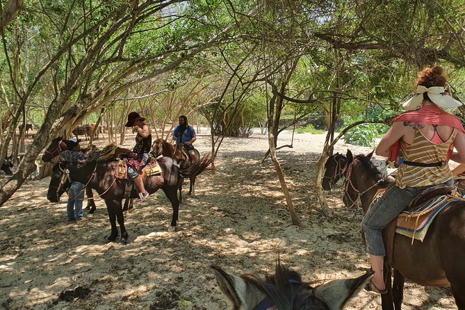Horses on The Beach or Hot Springs - Why this ride is different from a standard beach excursion