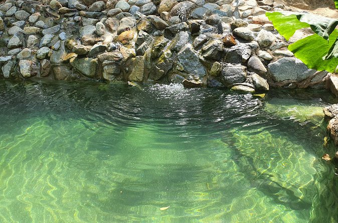 Horses on The Beach or Hot Springs - The beach option: simple scenery and an easy choice