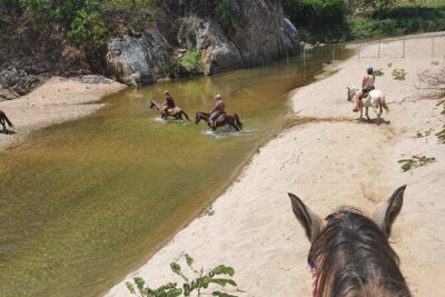 Horses on The Beach or Hot Springs