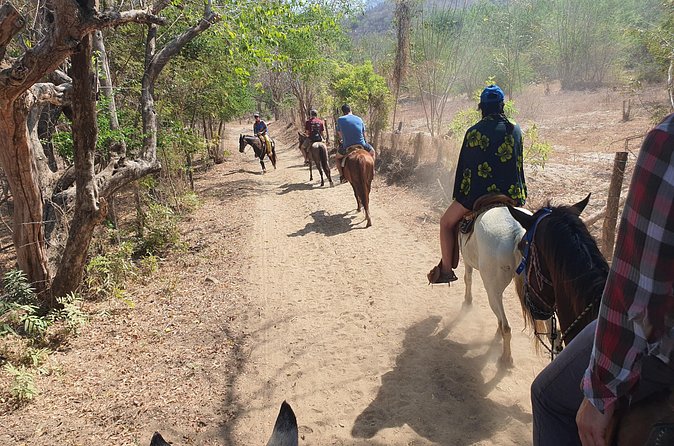 Horses on The Beach or Hot Springs - The hot springs option: rivers, horses, and thermal pools
