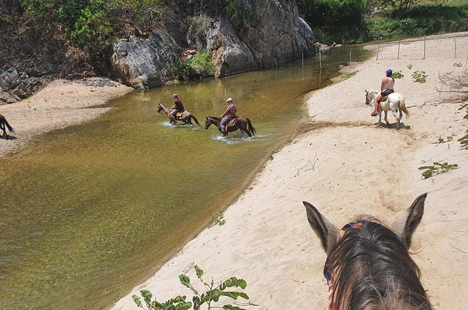 Horses on The Beach or Hot Springs - Help for first-time riders