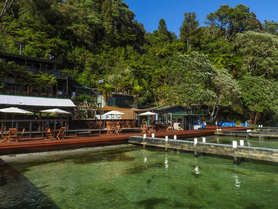 Hot Pools Kayak & Evening Barbecue - Paddling across Lake Rotoiti