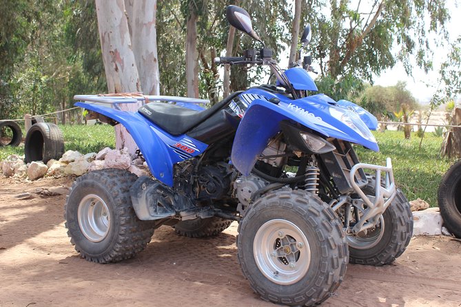 Hot spring and Atlas mountains quad biking tour - Who will enjoy this tour most?