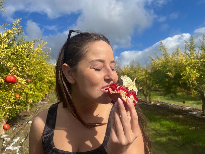 Hot spring and Temple - Fruit, vineyards, and the rural side of Sicily