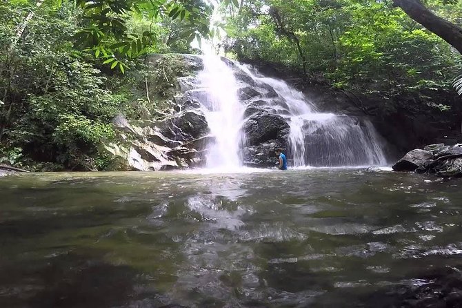 Hot Spring and Waterfall Day Tour - Private transport and what the $50 price covers