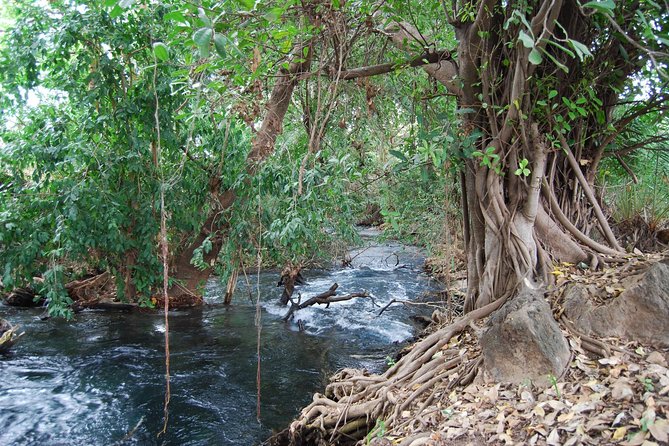 Hot Spring Day Trip - From Moshi to the Kikuletwa Hot Springs