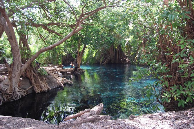 Hot Spring Day Trip - What the Private Tour Format Means