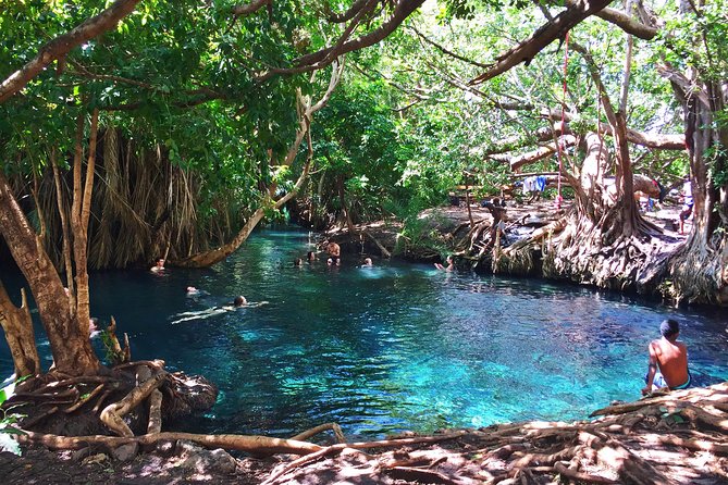 Hot Spring Day Trip - Who Will Enjoy This Day Most?