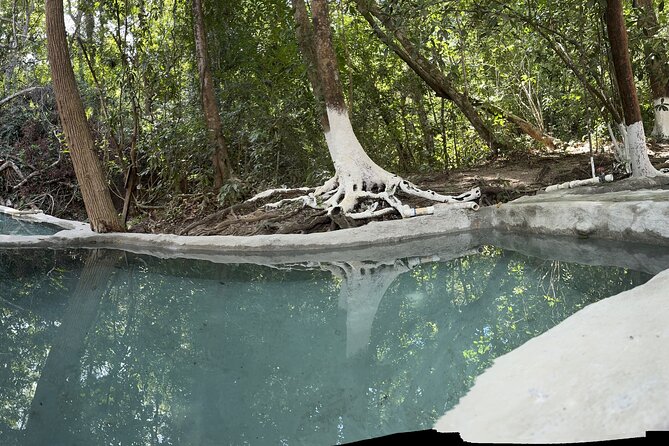 Hot Springs All Inclusive Relaxing Tour - Who will enjoy this day most