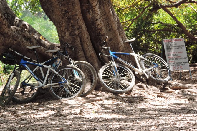 Hot Springs Bike tour - Who will enjoy this Moshi day trip?