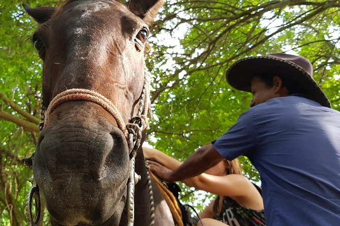 Hot Springs Horseback Riding Adventure - Reaching the Manialtepec thermal pools