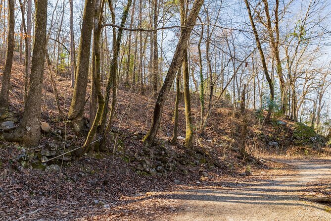 Hot Springs National Park Self Guided Audio Tour - Why the Fordyce deserves a full hour