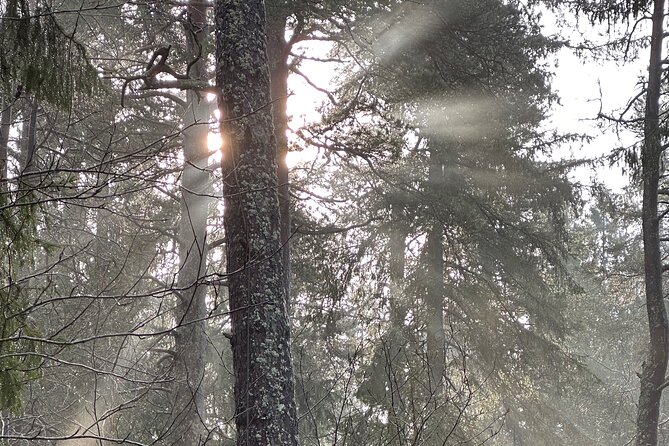 Icebathing and Sauna, Forest Hike and Fireplace Lunch - Private - Learning the sauna routine before the cold water