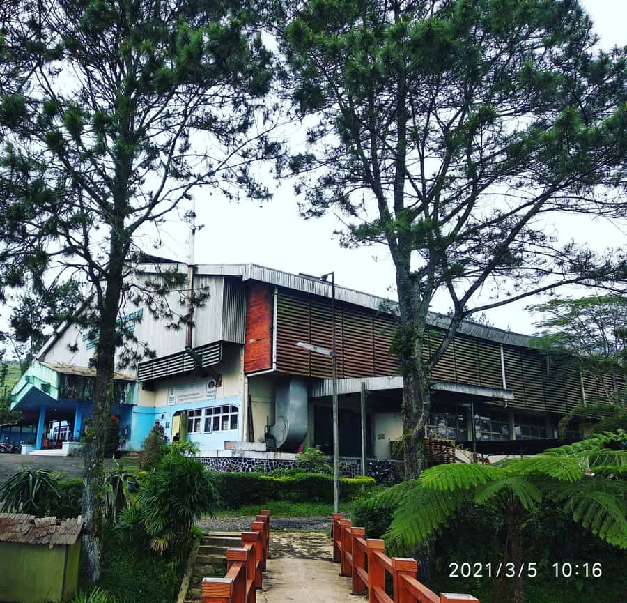 Jakarta: Volcano, Hot Spring, Tea, Rice Fields, &Coffee tour - Key Details Before You Book