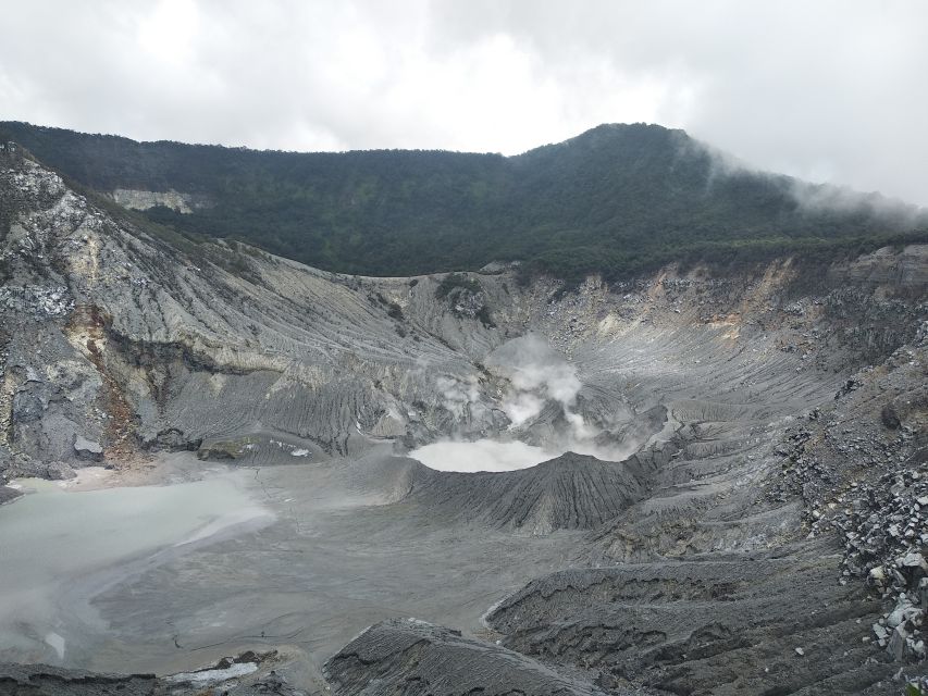 Jakarta: Volcano, Hot Spring, Tea, Rice Fields, &Coffee tour - Should You Book It?