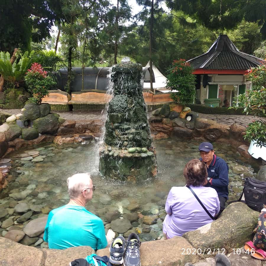 Jakarta: Volcano, Hot Spring, Tea, Rice Fields, &Coffee tour - Lembang Lunch and the Luwak Coffee Stop