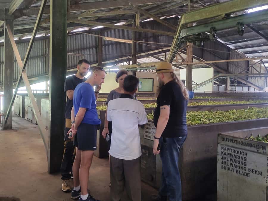 Jakarta: Volcano, Hot Spring, Tea, Rice Fields, &Coffee tour - Sari Ater Hot Spring and the Last Relaxed Stop