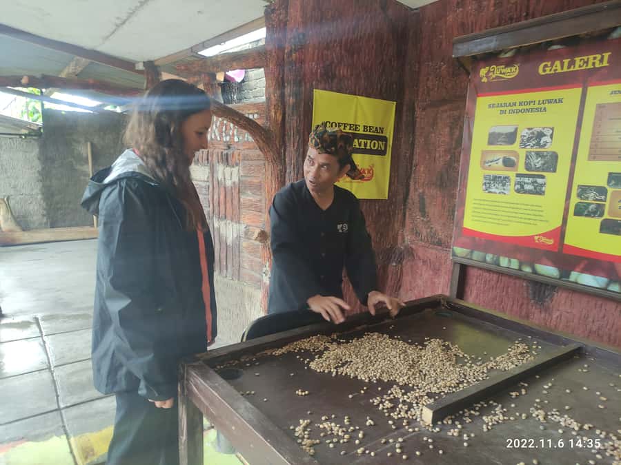 Jakarta: Volcano, Hot Spring, Tea, Rice Fields, &Coffee tour - What the Private Format Really Adds