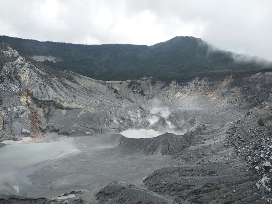 Jakarta: Volcano, Hot Spring, Tea, Rice Fields, &Coffee tour - The Road into Subang’s Tea Country