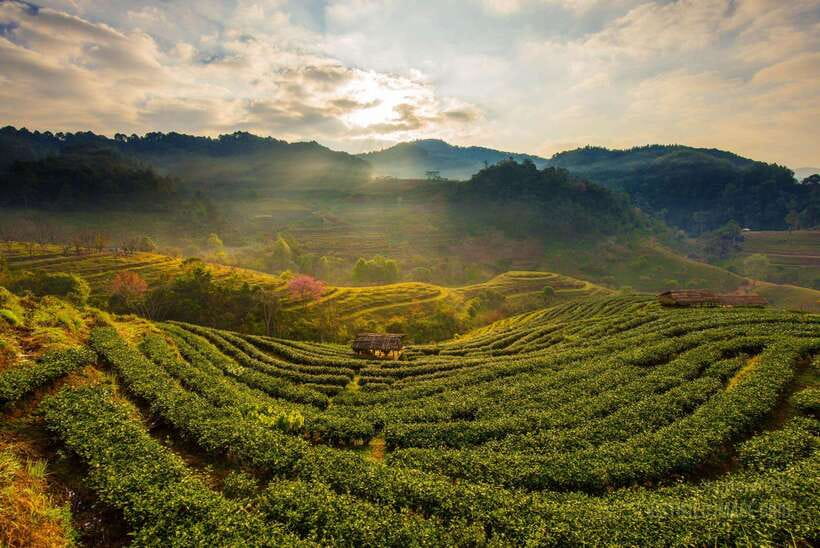 Jakarta: Volcano, Suspension Bridge, and Hot Spring Tour - How the schedule feels in practice
