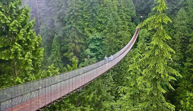 Jakarta: Volcano, Suspension Bridge, and Hot Spring Tour - Practical advice for a better day