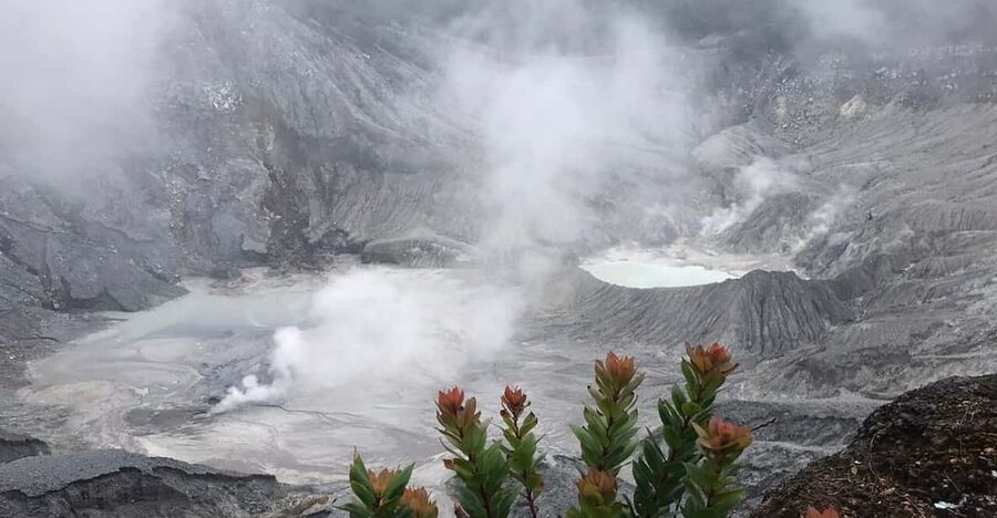 Jakarta: Volcano, Tea/Rice Fields, Hot Spring, Local Food - Tea fields and rice farming around the volcano