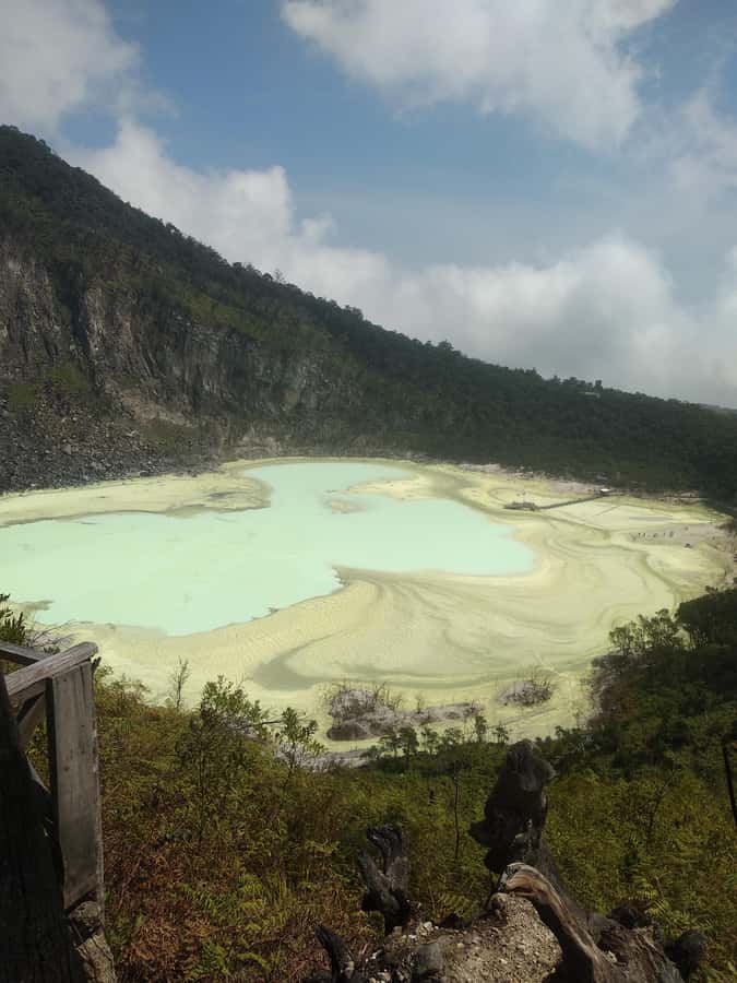 Jakarta: Waterfalls, Volcano, White Crater, Tea, Hot Spring - Tea plantations bring a quieter change of pace