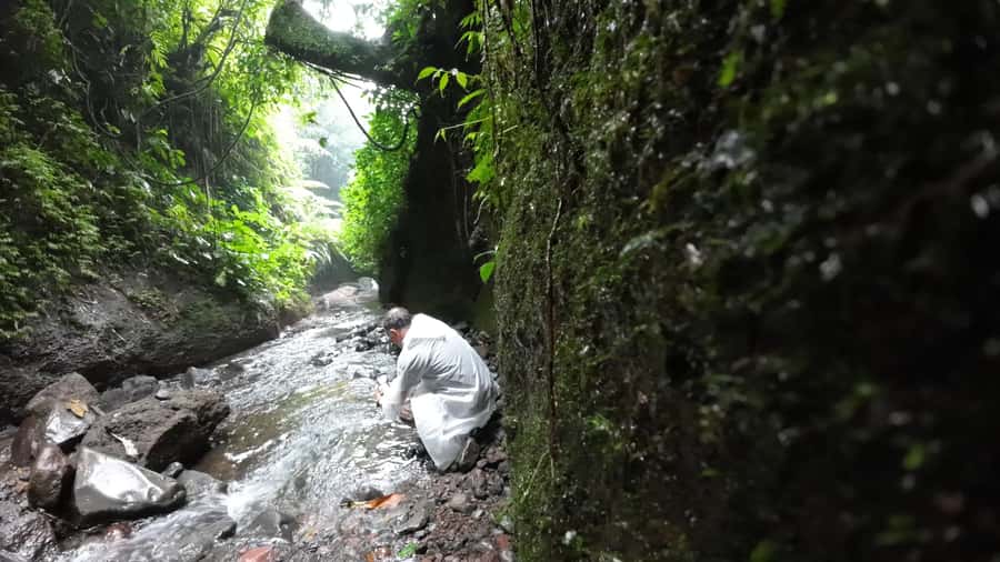 Jakarta: Waterfalls, Volcano, White Crater, Tea, Hot Spring - A very long day from Jakarta