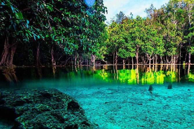 Jungle Tour to Emerald Pool, Krabi Hot Spring and Tiger Cave Temple - Why this three-stop Krabi tour works
