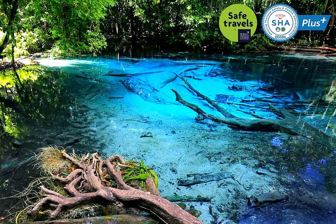 Jungle Tour to Emerald Pool, Krabi Hot Spring and Tiger Cave Temple - Emerald Pool: beautiful water, limited time