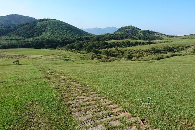 Keelung Shore Excursion: Yangmingshan Hot Spring and Wild Vegetable Cuisine Tour - Why Yangmingshan Works So Well From Keelung
