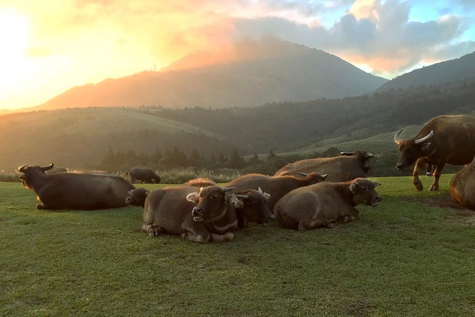 Keelung Shore Excursion: Yangmingshan Hot Spring and Wild Vegetable Cuisine Tour - Eight Hours, Private Transport, and Shore-Time Planning