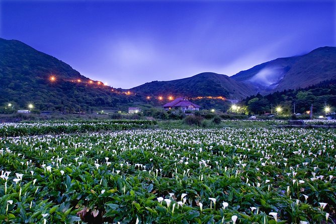 Keelung Shore Excursion: Yangmingshan Hot Spring and Wild Vegetable Cuisine Tour - Who Should Book This Yangmingshan Excursion