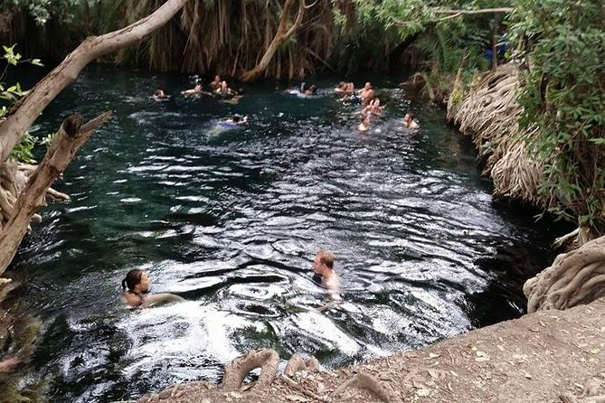 Kikuletwa (Chemka) Hot Springs Day Tour - The guide can improve the whole outing