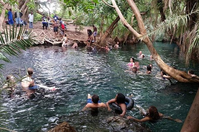 Kikuletwa (Chemka) Hot Springs Day Tour - Who will enjoy this six-and-a-half-hour tour