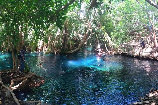 Kikuletwa Hot Spring Day Tour - Arriving at a clear, warm pool
