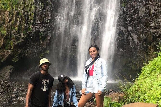 Kilimanjaro Waterfalls Hike & Moshi Hot Springs Day Trip Tour - A Scenic Viewpoint and Picnic Lunch