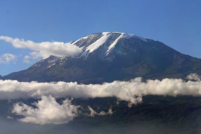 Kilimanjaro Waterfalls Hike & Moshi Hot Springs Day Trip Tour - Who Will Enjoy This Day Most?