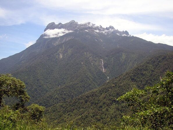 Kinabalu Park & Poring Hot Spring & Canopy Walk - Five things to know before you book