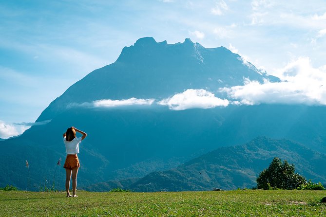 Kinabalu Park & Poring Hot Spring & Canopy Walk - The 105-meter canopy walk
