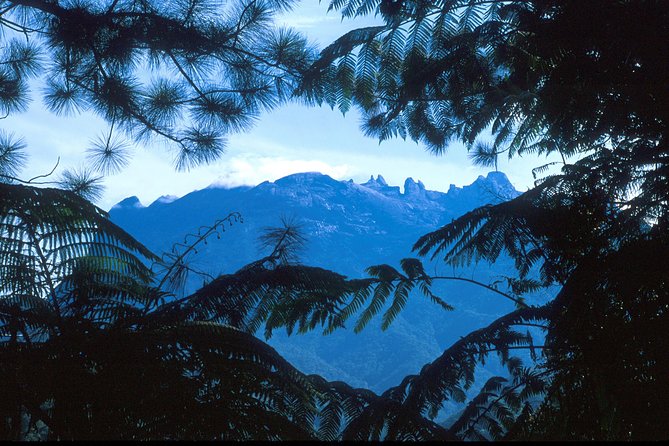 Kinabalu Park & Poring Hot Spring Tour - Rafflesia stops depend on timing and extra cost