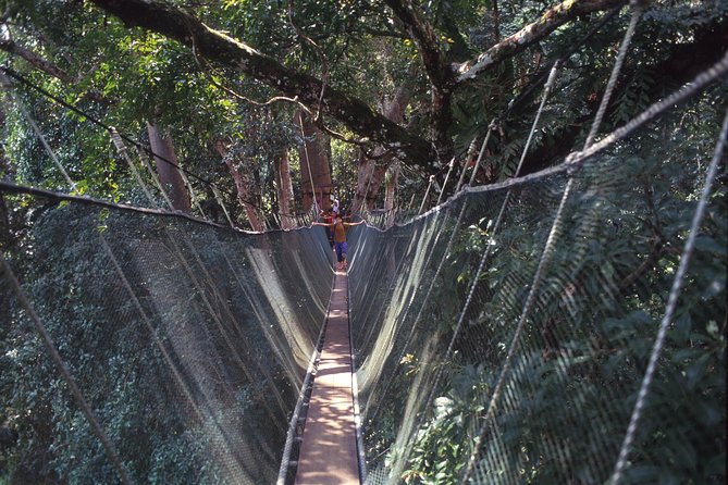Kinabalu Park & Poring Hot Spring Tour - The return to Kota Kinabalu