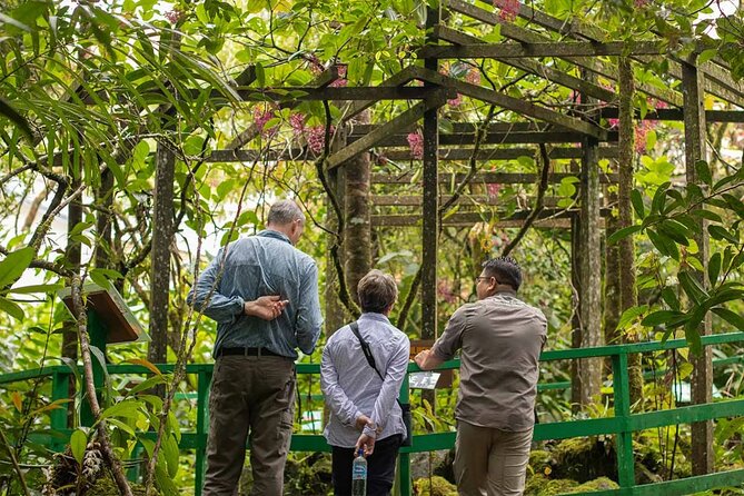 Kinabalu Park & Poring Hot Springs Tour with Desa Dairy Farm - Why this Kota Kinabalu day trip works